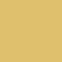 Highlight Gold Paint Color DEC731