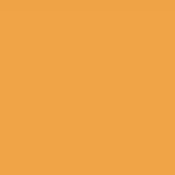 O'Brien Orange Paint Color DET460
