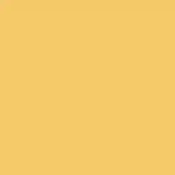 Cornsilk Yellow Paint Color DET498