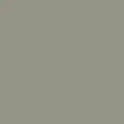 Dapple Gray Paint Color DET511