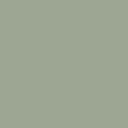 Lichen Green Paint Color DET516
