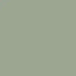 Lichen Green Paint Color DET516