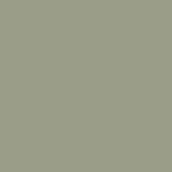Flagstone Quartzite Paint Color DET517