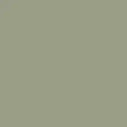 Flagstone Quartzite Paint Color DET517