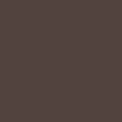 Spiced Hot Chocolate Paint Color DET691